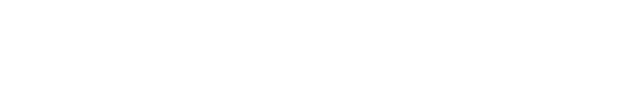 Perspektive Ausland Logo